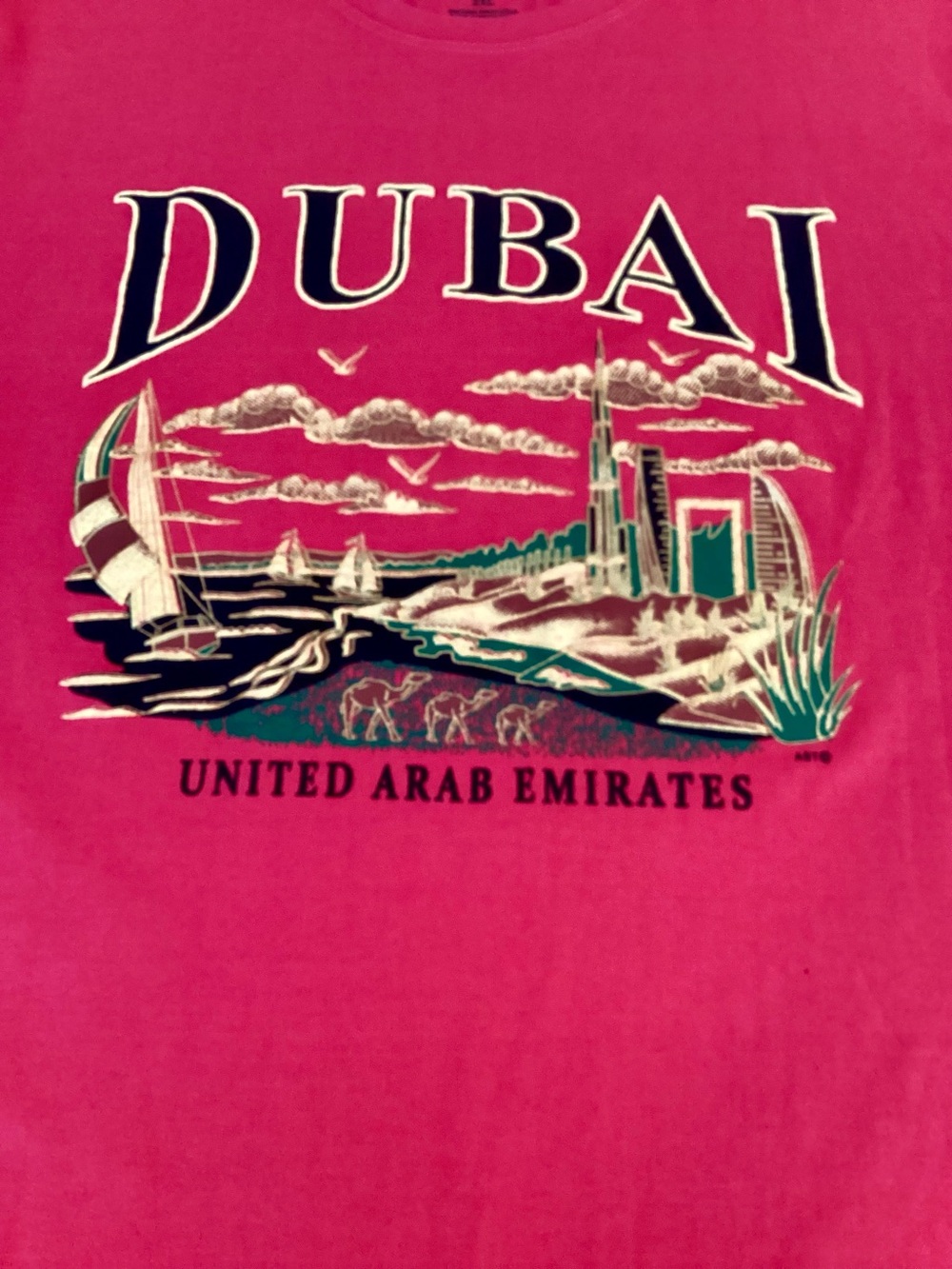 Dubshi Dubai United Arab Emirates Souvenir T-Shirt Teal Blue XL Skyline Graphic - Picture 5 of 8